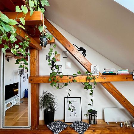 Captain Misha'S Place Belgrado Buitenkant foto