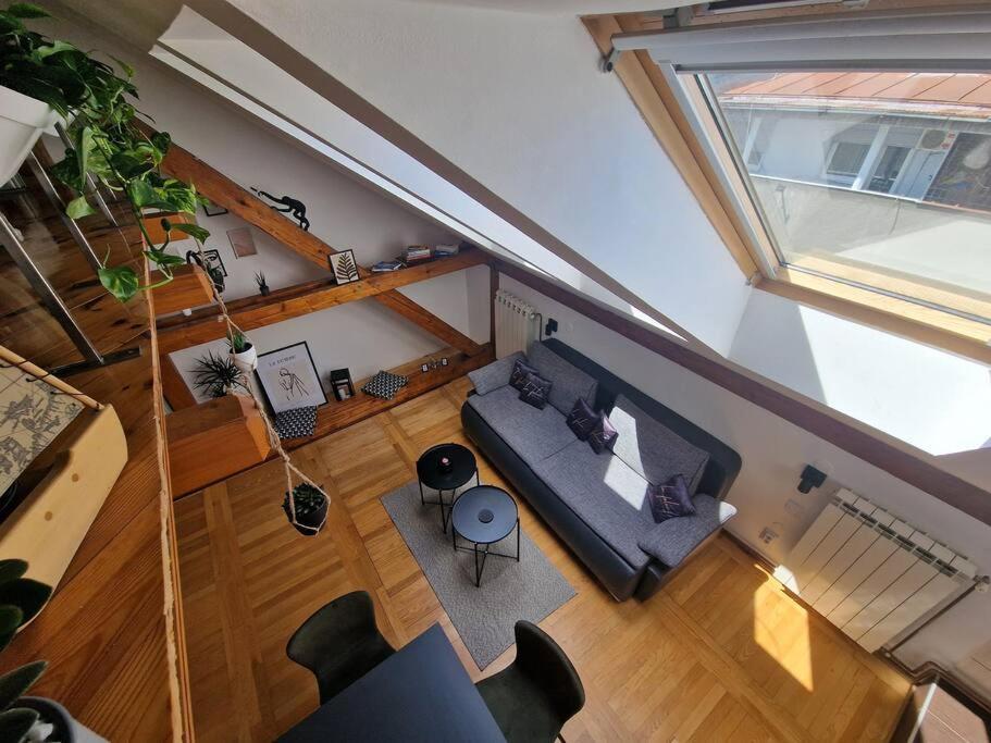 Captain Misha'S Place Belgrado Buitenkant foto