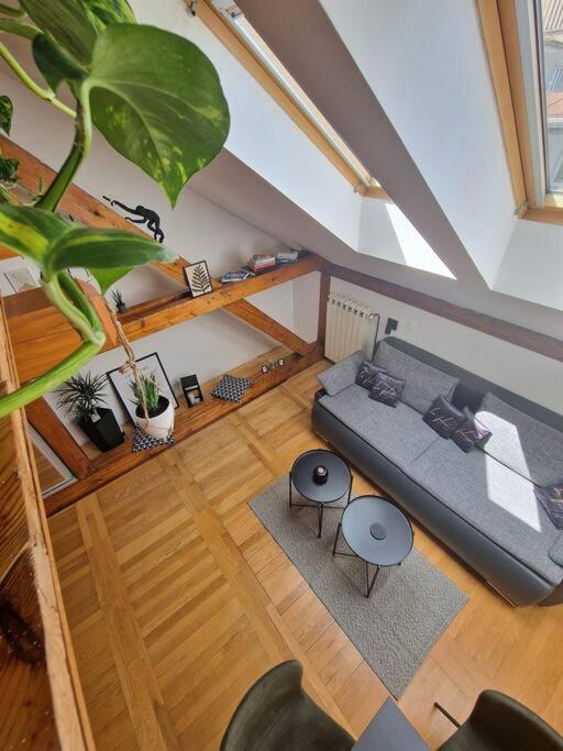 Captain Misha'S Place Belgrado Buitenkant foto
