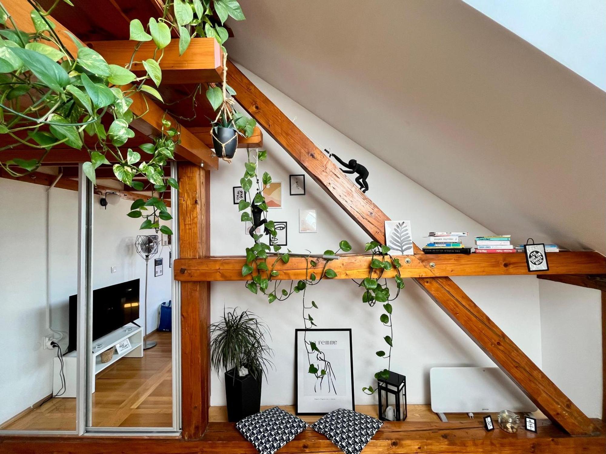 Captain Misha'S Place Belgrado Buitenkant foto